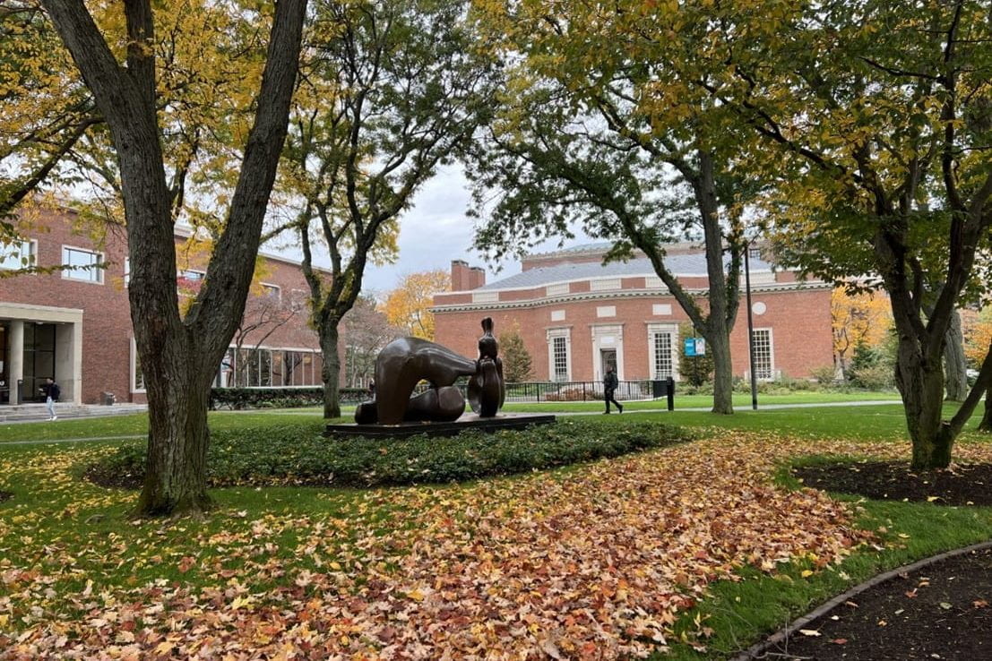 View of Harvard Houghton and Lamont Libraries in the Fall, 2023